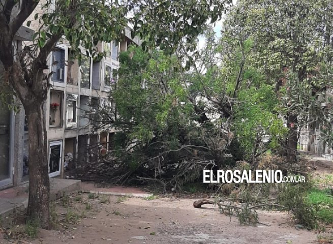 Foto reclamo de los lectores