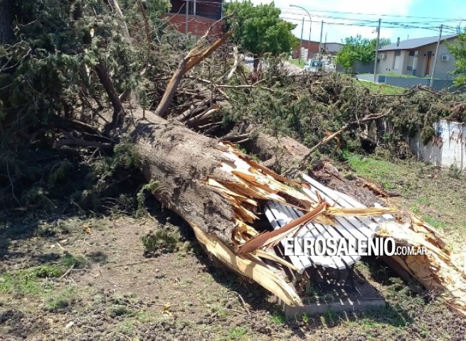 El Banco Provincia dio a conocer detalles de los préstamos por el temporal