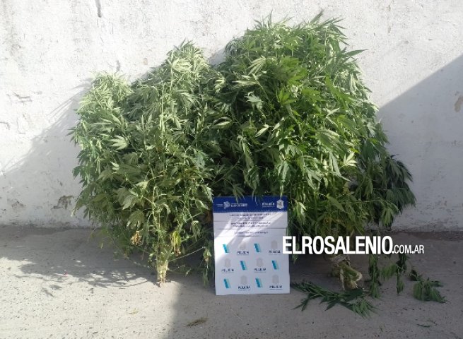 La policía realizó un allanamiento por el robo a una vivienda