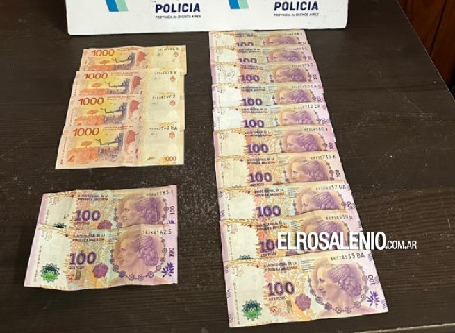 Detuvieron a un ladrón que le robó a una joven en la vía pública