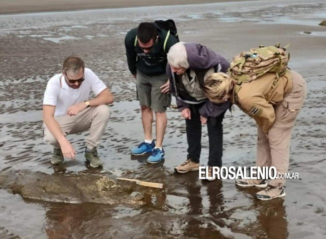 Nuevo hallazgo de restos fósiles en Pehuen Co