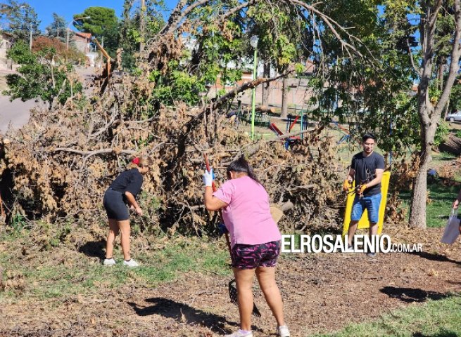 Limpieza y acondicionamiento de la Plaza de Gottling 