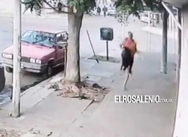 Le tiraron del pelo y le robaron a las 7 de la mañana