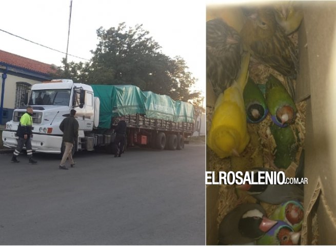 Camionero se fugó del Puesto Fitosanitario, pero fue detenido