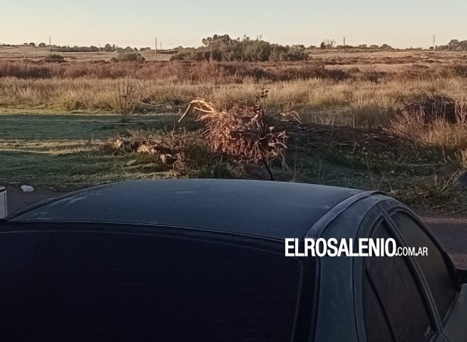 Llegaron las primeras heladas del año