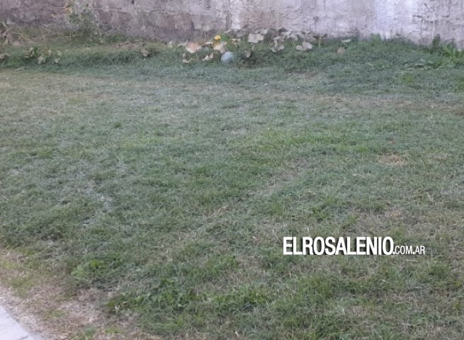 Llegaron las primeras heladas del año