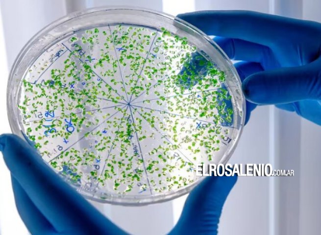 ¿Cuánto plástico consumimos por semana sin darnos cuenta?