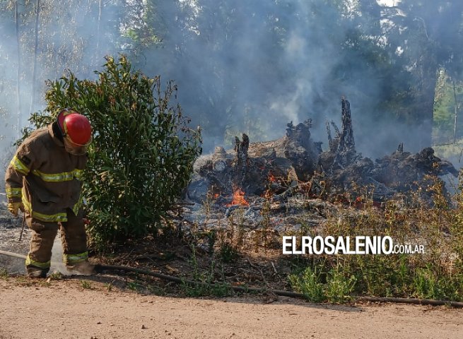 Incendio de pastizales en Ruta 229 en cercanías a una vivienda