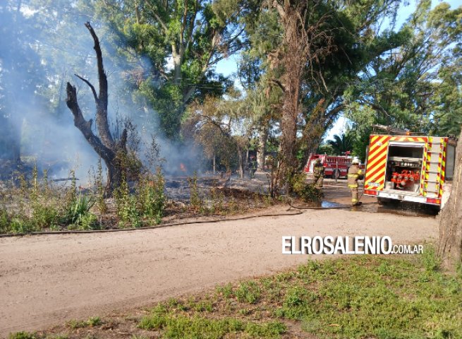 Incendio de pastizales en Ruta 229 en cercanías a una vivienda