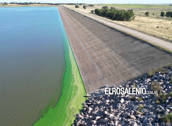 Problema latente por las algas: así están las aguas del dique Paso de las Piedras 
