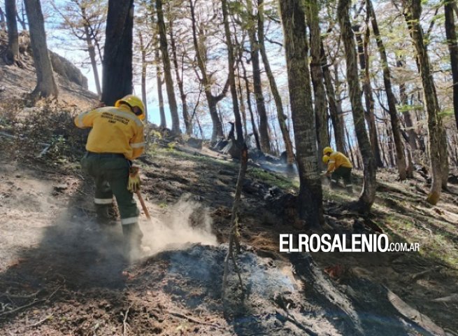 Brigadistas forestales de la Armada Argentina combaten los incendios en El Bolsón
