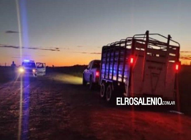 Dos detenidos por el robo de siete vaquillonas preñadas 