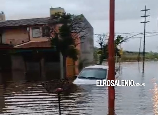 Emergencia en la Ciudad: Comité de Crisis Activo y Refugios Disponibles