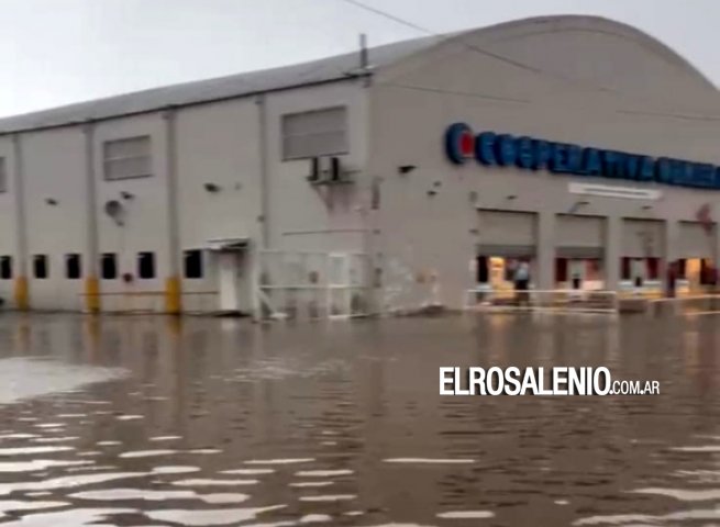 Cooperativa Obrera no abre sucursales de Punta Alta y Bahía hoy sábado