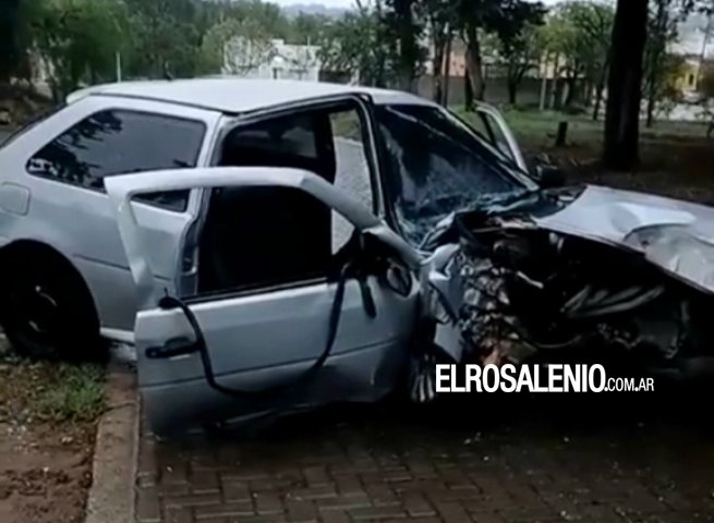 Accidente en el Parque San Martín: un auto chocó contra un árbol