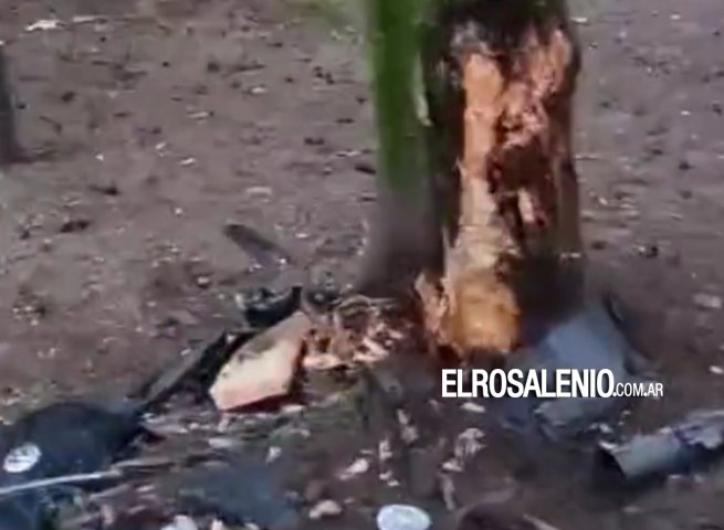 Accidente en el Parque San Martín: un auto chocó contra un árbol