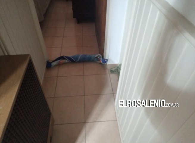 Albatros XX: “Hay ríos de cloacas debajo de veredas y calles, y entran a nuestras casas”