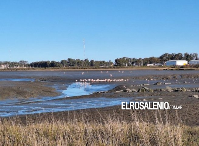 Jornada de limpieza costera e interpretación del humedal de Arroyo Pareja