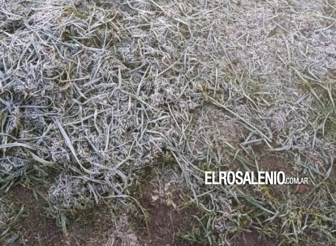 La primavera llegó con una importante helada en algunos sectores de la ciudad