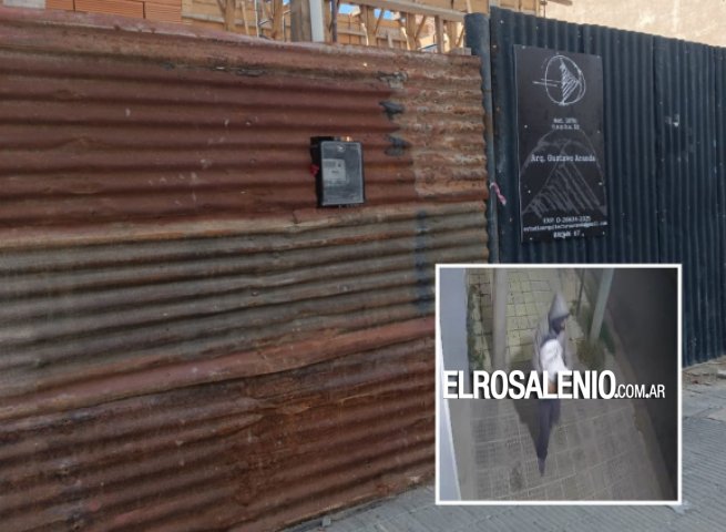 “Carucha” robó otra vez, fue nuevamente filmado y fue detenido por la Policía