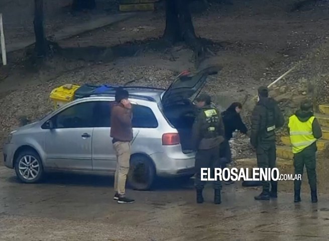 Villarino: decomisan 270 kg de pulpa de ostras transportadas sin autorización