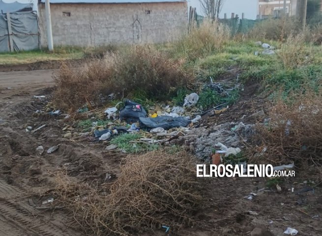 Podrá denunciarse por WhatsApp a quienes arrojen residuos formando microbasurales