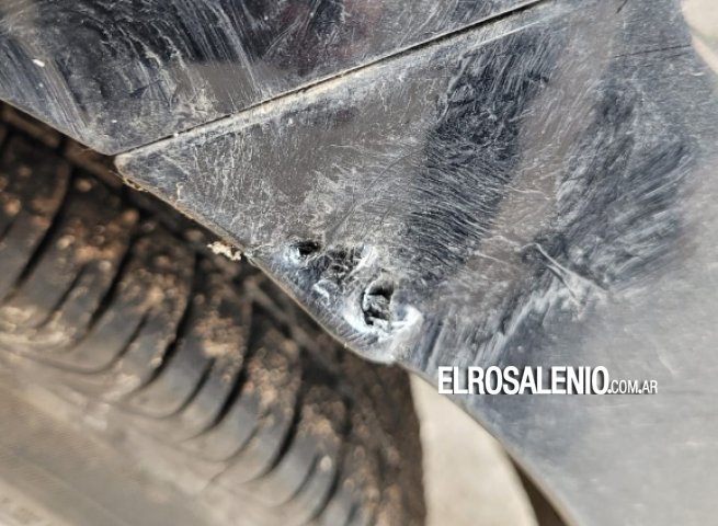 Insólito: perros que atacan vehículos, ahora dañan los guardabarros de los autos 