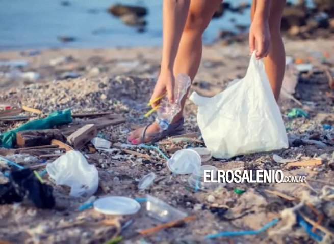 Nueva jornada de concientización y limpieza de playa en Pehuen Co