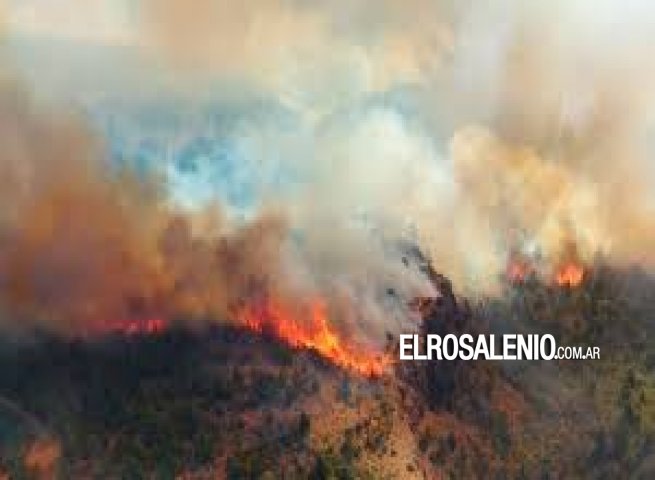 Incendio en Chubut: confirman que fue intencional 