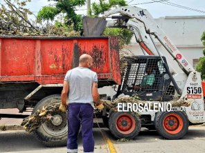 Continúan los trabajos de limpieza en la ciudad