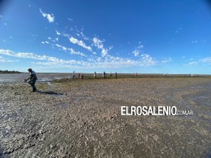 Oiltanking informó que hasta el momento se retiraron 6 mil kg de residuos