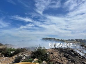 Un importante incendio en el basural de Pehuen movilizó a bomberos