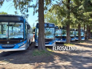 Rige el nuevo valor del pasaje de los colectivos locales