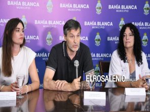 Confirman primeros casos de dengue autóctono en Bahía Blanca