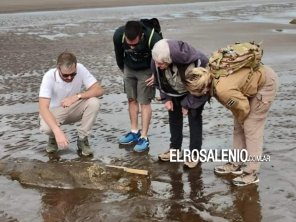 Nuevo hallazgo de restos fósiles en Pehuen Co