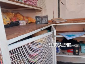 Robó en un carrito de golosinas y huyó engañando a un vecino