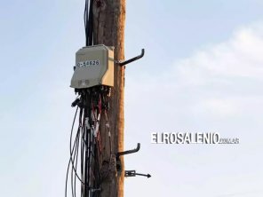 En 5 años no podrá haber más postes de madera para cableado