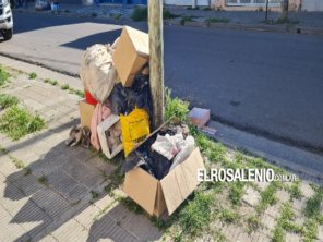 “Cuando haya más de un metro cúbico de residuos, se multará a los vecinos”