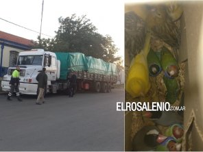 Camionero se fugó del Puesto Fitosanitario, pero fue detenido