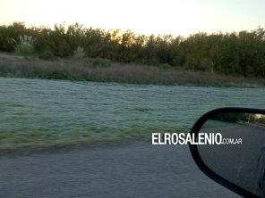 Llegaron las primeras heladas del año