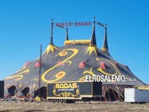 Por la crisis, la UNS decidió alquilarle un terreno al Circo Rodas