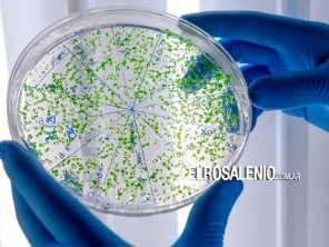 ¿Cuánto plástico consumimos por semana sin darnos cuenta?