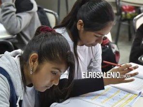 Solo el 22% de los chicos de 15 años cursa la escuela en tiempo y forma a nivel nacional