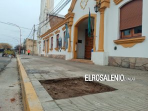 Colocan árboles sobre el frente del Municipio en calle Rivadavia