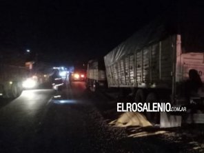  Incidente en la ruta 51: un camión perdió una rueda y causó daños a dos vehículos 