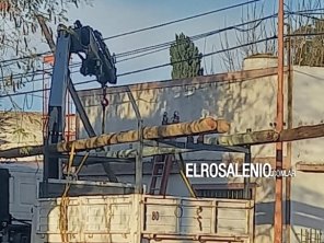 Aseguran que se trabaja para intimar a la empresa que instalaba nuevos postes de madera