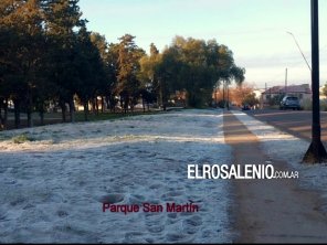 Los espacios verdes de la ciudad, todos vestidos de blanco