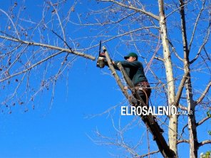 El Municipio labró infracciones a frentistas por podar los árboles 