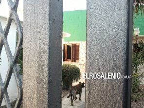 Habló la mujer que golpearon brutalmente para robarle: “Fue una película de terror”