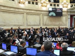 El Senado declaró al 15 de noviembre como Día Nacional por la Memoria